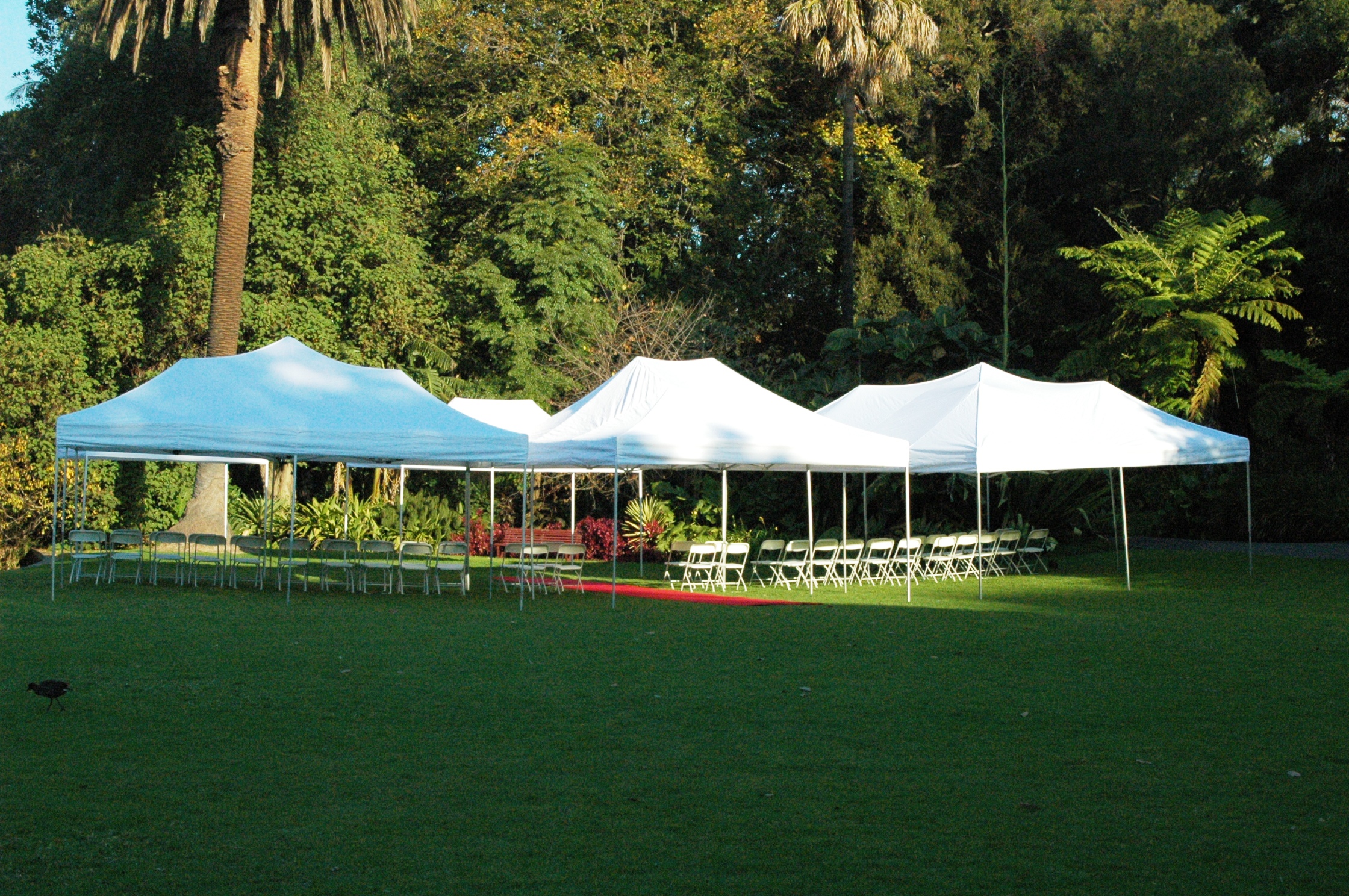 Instant Marquees & Umbrellas